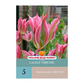 Hectarul - Bulbi de lalele VirIchic, 5 bulbi